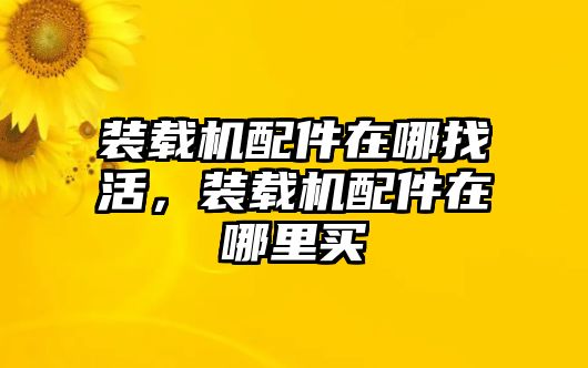 裝載機配件在哪找活，裝載機配件在哪里買