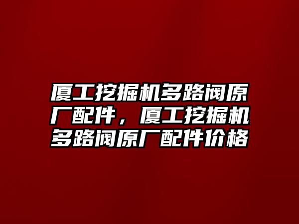 廈工挖掘機多路閥原廠配件，廈工挖掘機多路閥原廠配件價格