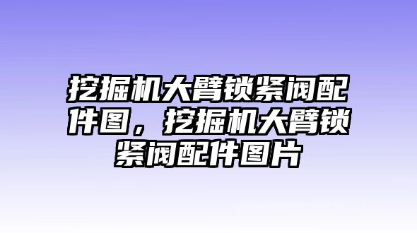 挖掘機大臂鎖緊閥配件圖，挖掘機大臂鎖緊閥配件圖片