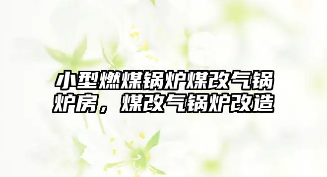 小型燃煤鍋爐煤改氣鍋爐房，煤改氣鍋爐改造