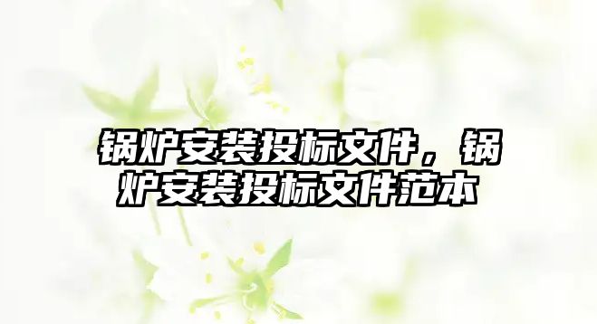 鍋爐安裝投標(biāo)文件，鍋爐安裝投標(biāo)文件范本