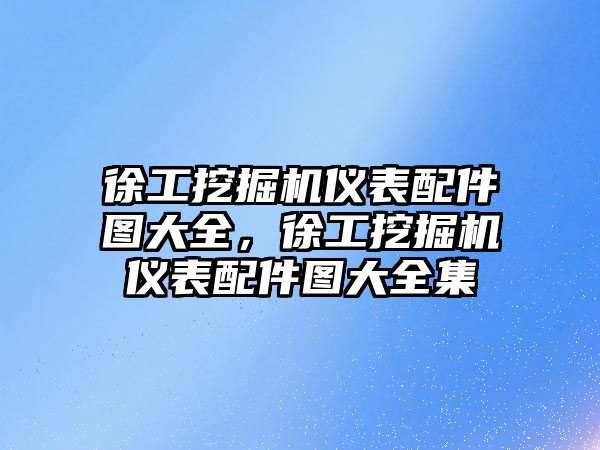 徐工挖掘機儀表配件圖大全，徐工挖掘機儀表配件圖大全集