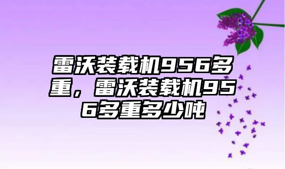 雷沃裝載機(jī)956多重，雷沃裝載機(jī)956多重多少噸