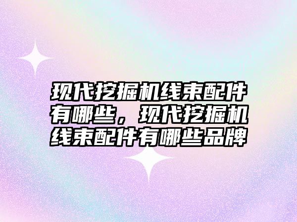 現代挖掘機線束配件有哪些，現代挖掘機線束配件有哪些品牌