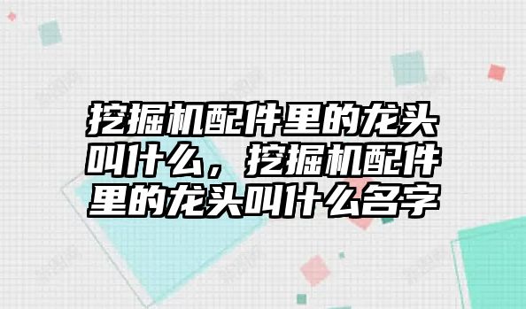 挖掘機配件里的龍頭叫什么，挖掘機配件里的龍頭叫什么名字