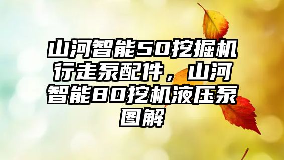 山河智能50挖掘機(jī)行走泵配件，山河智能80挖機(jī)液壓泵圖解