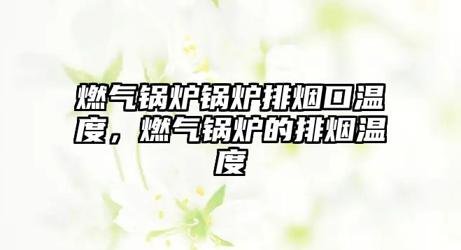 燃?xì)忮仩t鍋爐排煙口溫度，燃?xì)忮仩t的排煙溫度