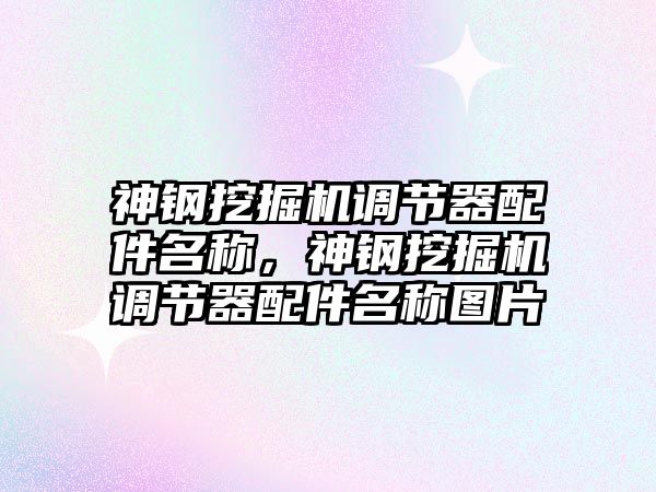 神鋼挖掘機調節器配件名稱，神鋼挖掘機調節器配件名稱圖片