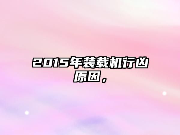 2015年裝載機行兇原因，