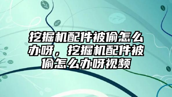 挖掘機配件被偷怎么辦呀，挖掘機配件被偷怎么辦呀視頻