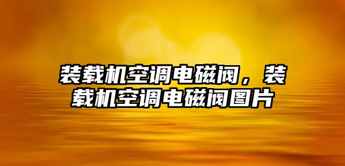 裝載機空調電磁閥，裝載機空調電磁閥圖片