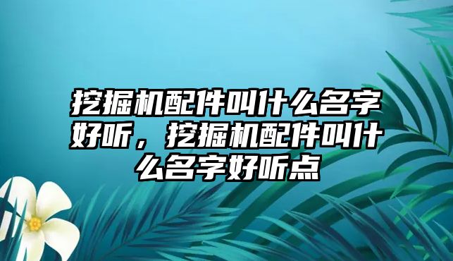 挖掘機配件叫什么名字好聽，挖掘機配件叫什么名字好聽點