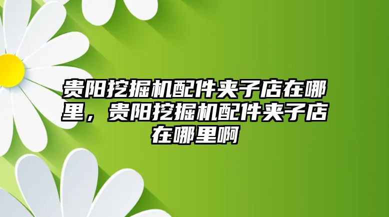 貴陽挖掘機配件夾子店在哪里，貴陽挖掘機配件夾子店在哪里啊