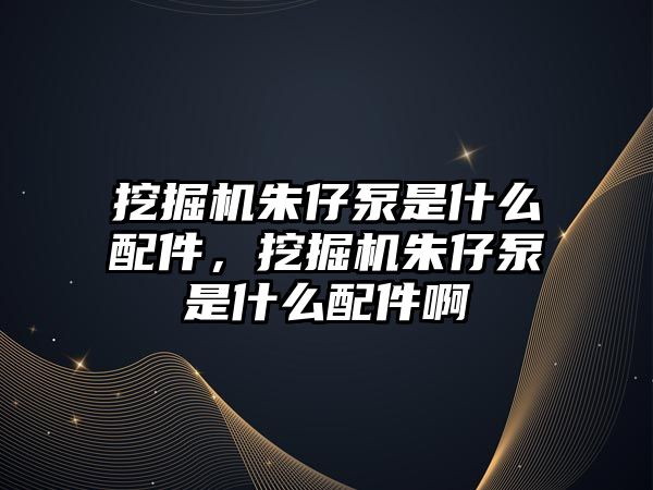 挖掘機朱仔泵是什么配件，挖掘機朱仔泵是什么配件啊