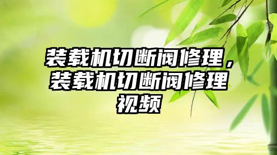 裝載機切斷閥修理，裝載機切斷閥修理視頻