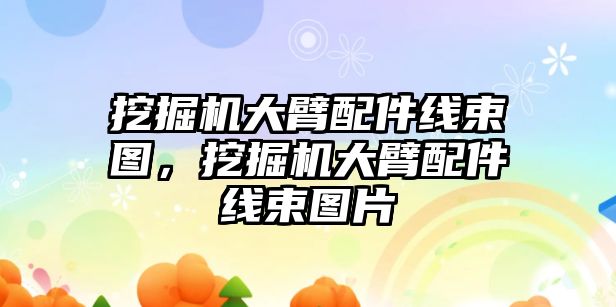 挖掘機大臂配件線束圖，挖掘機大臂配件線束圖片