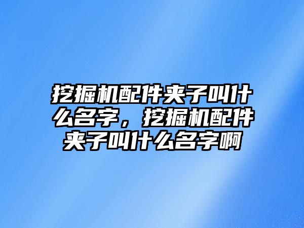 挖掘機配件夾子叫什么名字，挖掘機配件夾子叫什么名字啊