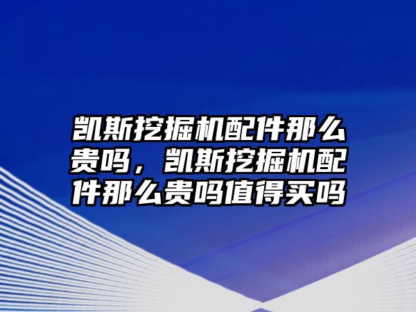 凱斯挖掘機配件那么貴嗎，凱斯挖掘機配件那么貴嗎值得買嗎