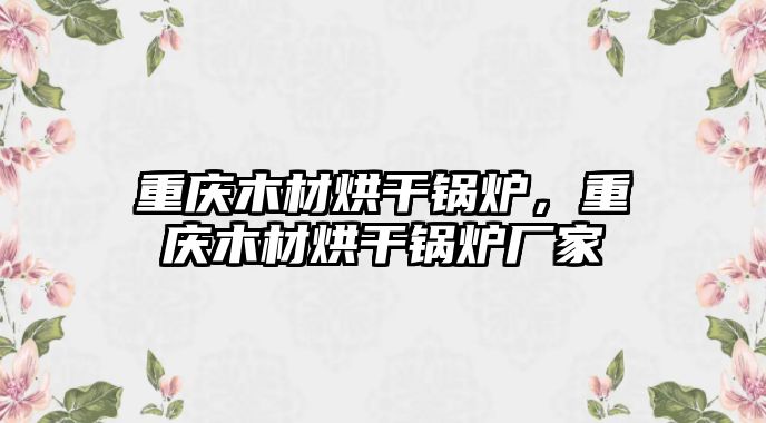 重慶木材烘干鍋爐，重慶木材烘干鍋爐廠家