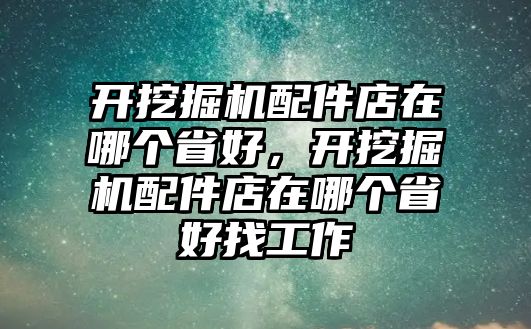 開挖掘機配件店在哪個省好，開挖掘機配件店在哪個省好找工作