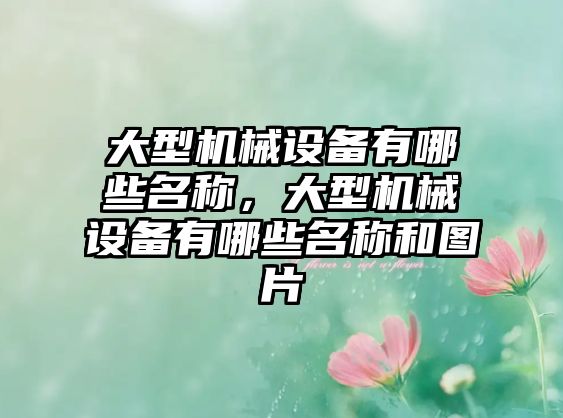 大型機械設(shè)備有哪些名稱，大型機械設(shè)備有哪些名稱和圖片