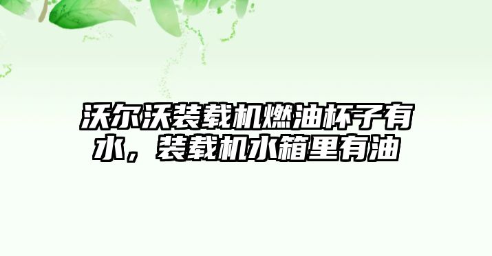 沃爾沃裝載機燃油杯子有水，裝載機水箱里有油