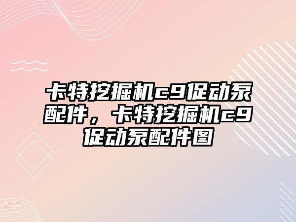 卡特挖掘機c9促動泵配件，卡特挖掘機c9促動泵配件圖