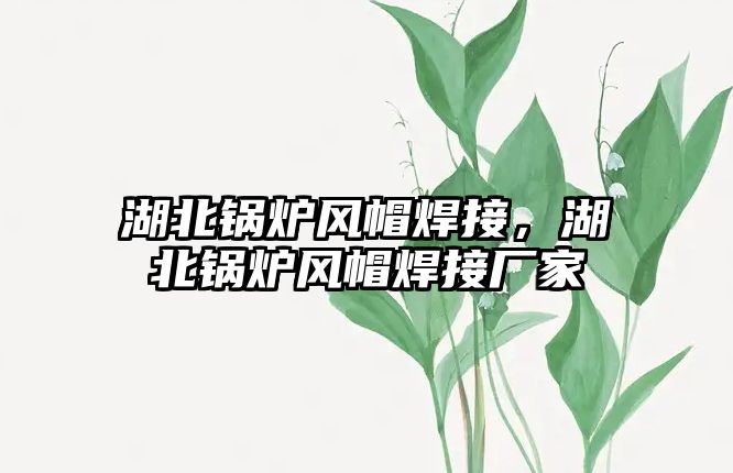 湖北鍋爐風(fēng)帽焊接，湖北鍋爐風(fēng)帽焊接廠家