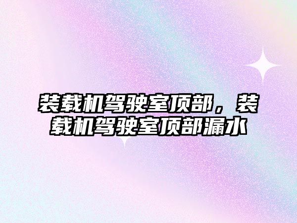 裝載機駕駛室頂部，裝載機駕駛室頂部漏水