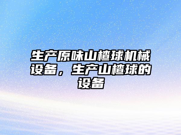 生產原味山楂球機械設備，生產山楂球的設備