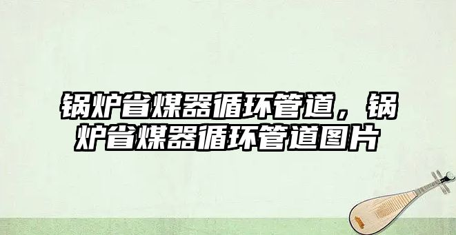 鍋爐省煤器循環管道，鍋爐省煤器循環管道圖片