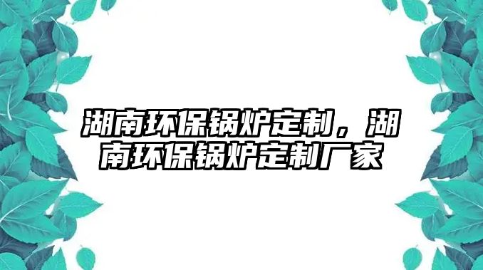 湖南環保鍋爐定制，湖南環保鍋爐定制廠家