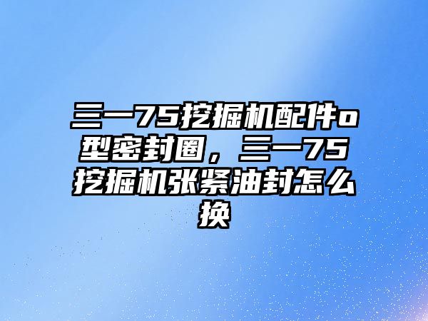 三一75挖掘機配件o型密封圈，三一75挖掘機張緊油封怎么換