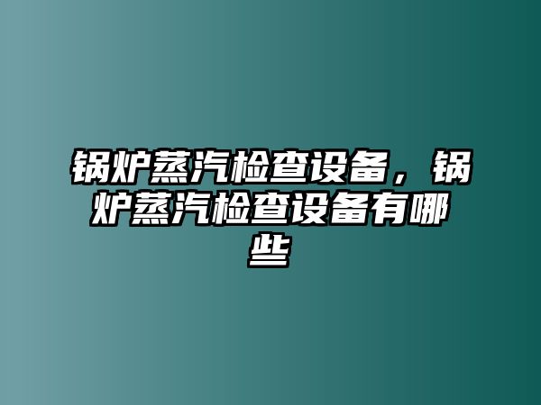 鍋爐蒸汽檢查設(shè)備，鍋爐蒸汽檢查設(shè)備有哪些