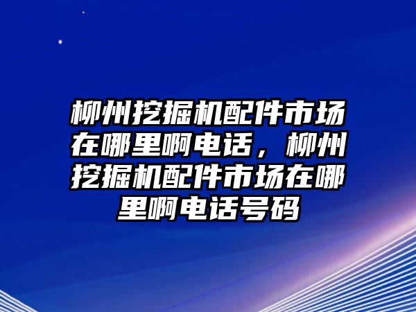 柳州挖掘機配件市場在哪里啊電話，柳州挖掘機配件市場在哪里啊電話號碼