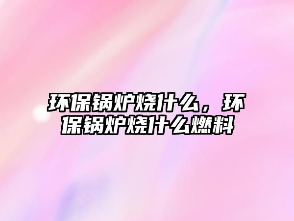 環保鍋爐燒什么，環保鍋爐燒什么燃料