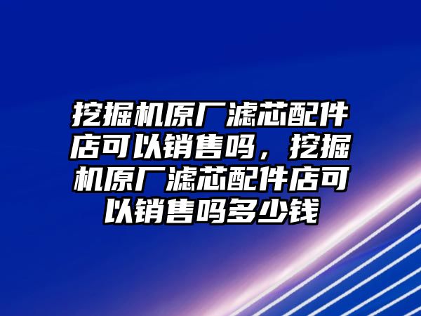 挖掘機原廠濾芯配件店可以銷售嗎，挖掘機原廠濾芯配件店可以銷售嗎多少錢