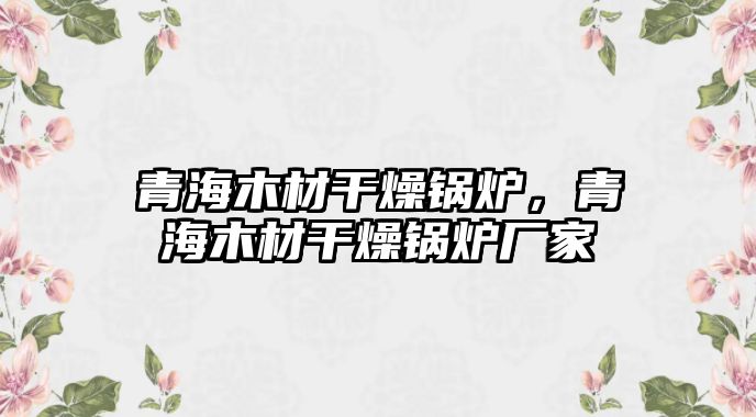 青海木材干燥鍋爐，青海木材干燥鍋爐廠家