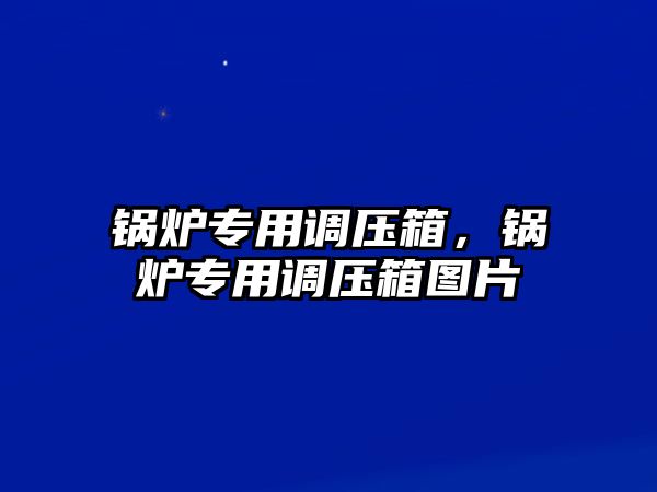 鍋爐專用調壓箱，鍋爐專用調壓箱圖片