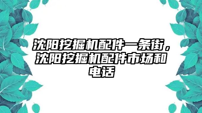 沈陽(yáng)挖掘機(jī)配件一條街，沈陽(yáng)挖掘機(jī)配件市場(chǎng)和電話