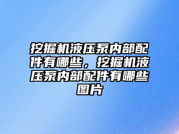 挖掘機液壓泵內部配件有哪些，挖掘機液壓泵內部配件有哪些圖片