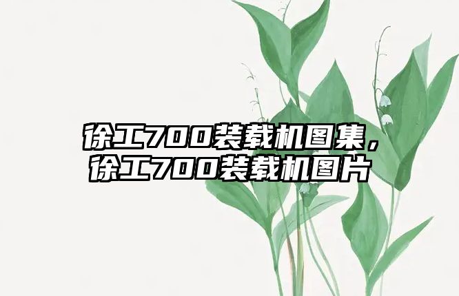 徐工700裝載機圖集，徐工700裝載機圖片