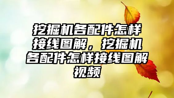 挖掘機各配件怎樣接線圖解，挖掘機各配件怎樣接線圖解視頻