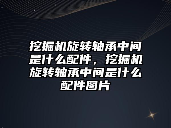 挖掘機旋轉軸承中間是什么配件，挖掘機旋轉軸承中間是什么配件圖片