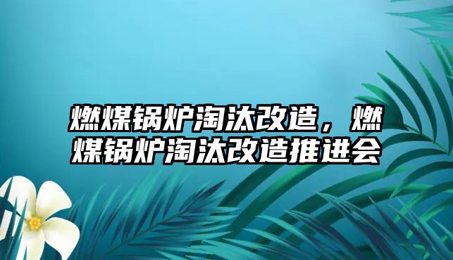 燃煤鍋爐淘汰改造，燃煤鍋爐淘汰改造推進會