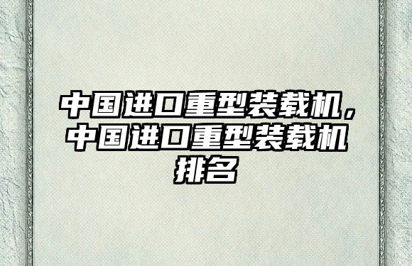 中國進口重型裝載機，中國進口重型裝載機排名