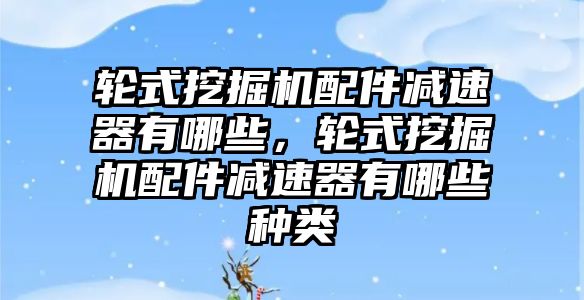 輪式挖掘機配件減速器有哪些，輪式挖掘機配件減速器有哪些種類