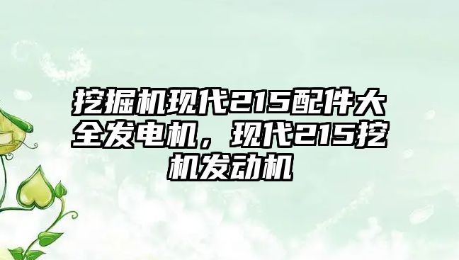 挖掘機(jī)現(xiàn)代215配件大全發(fā)電機(jī)，現(xiàn)代215挖機(jī)發(fā)動(dòng)機(jī)