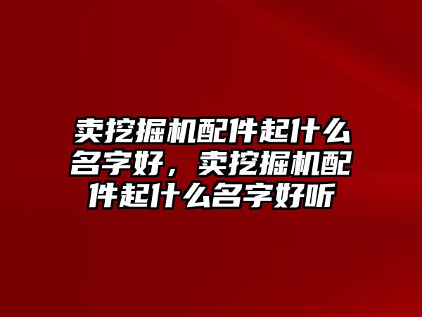 賣挖掘機配件起什么名字好，賣挖掘機配件起什么名字好聽