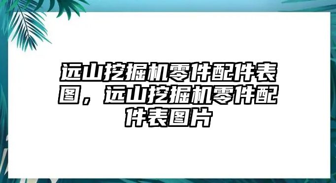 遠山挖掘機零件配件表圖，遠山挖掘機零件配件表圖片